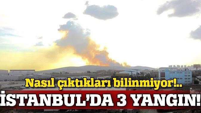 İstanbul&#039;da 3 orman yangını