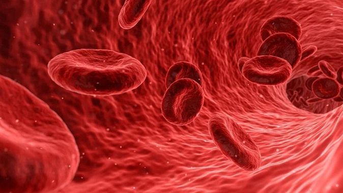 Bilim dünyasında bir ilk: Yapay kan insana nakledildi