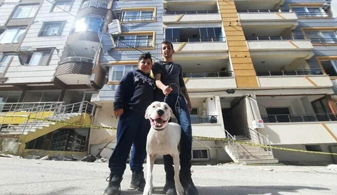 Kahraman köpek Dora deprem anında çocukların üzerine siper oldu