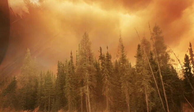 Kanada’nın ciğerleri yandı: Onlarca noktada çıkan orman yangını korkuttu