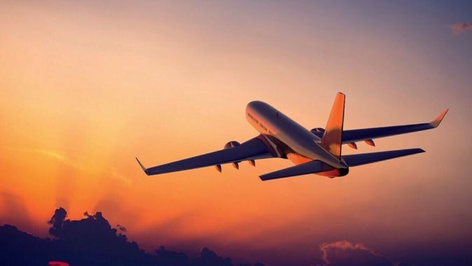 Uçakta yolcuyu akrep soktu: Genç tedavi altına alındı
