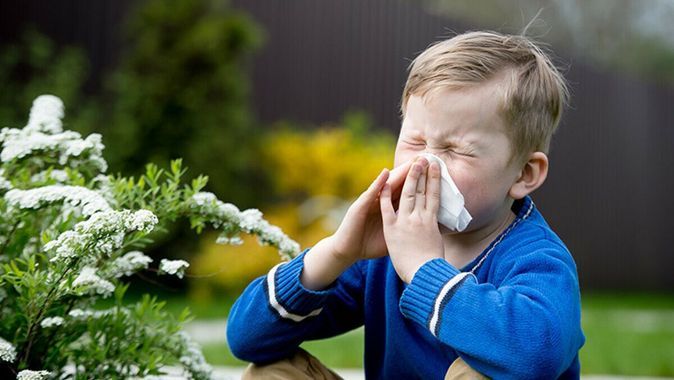 Her eve lazım alerji önerileri | Türkiye Kliniği