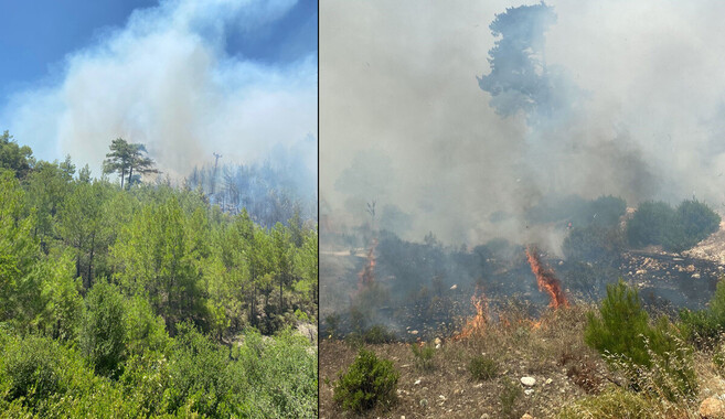 Kaş&#039;taki orman yangında sevindiren haber: Büyümeden kontrol altına alındı