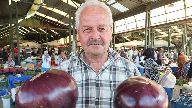 Karpuz büyüklüğünde patlıcanlar ilgi odağı oldu: Tam tamına 1 kilo