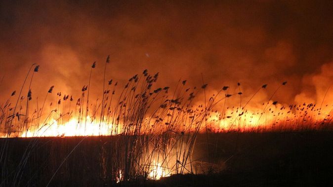 Silivri&#039;de korkutan yangın! Villanın bahçesine sıçradı