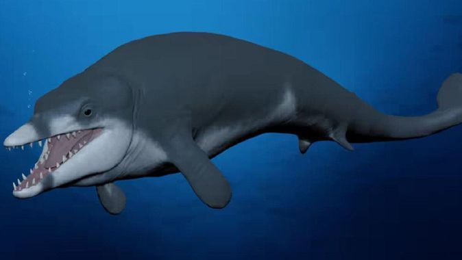 Bilim dünyasını şaşırtan keşif: Çölde 41 milyon yıllık balina fosili bulundu