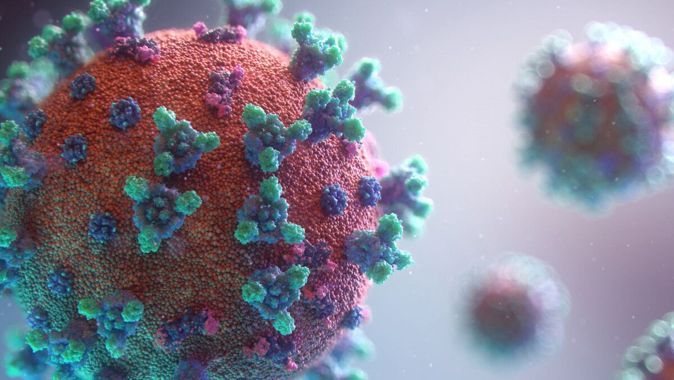 Bilim Kurulu üyeleri değerlendirdi: Pirola virüsü, hasta sayısını artırabilir