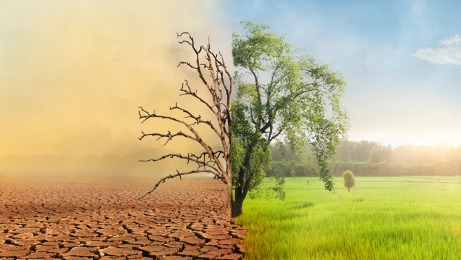 İklim değişikliği kanunu nedir? İklim yasası maddeleri…