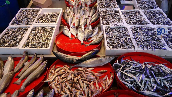 Havaların ısınması balık avını olumsuz etkiledi: Hamsi fiyatları tekrar yükseldi