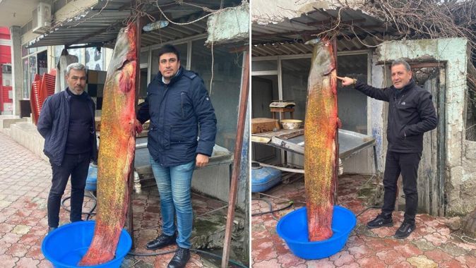 Osmaniyeli balıkçı 148 kiloluk yayın balığı yakaladı! 37 bin TL kazanacak