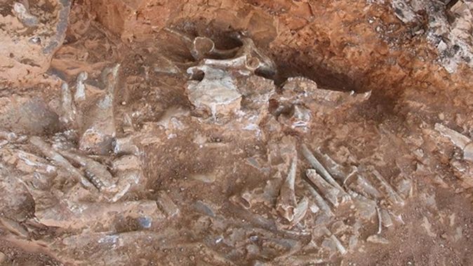 Bilim insanları 240 milyon yıllık ‘ejderha’ fosili keşfetti