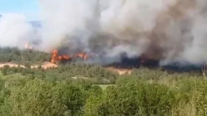 Kastamonu&#039;da orman yangını