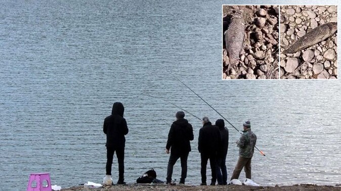 İliç&#039;teki toplu balık ölümlerine ilişkin açıklama: Siyanür iddiaları yine asılsız çıktı
