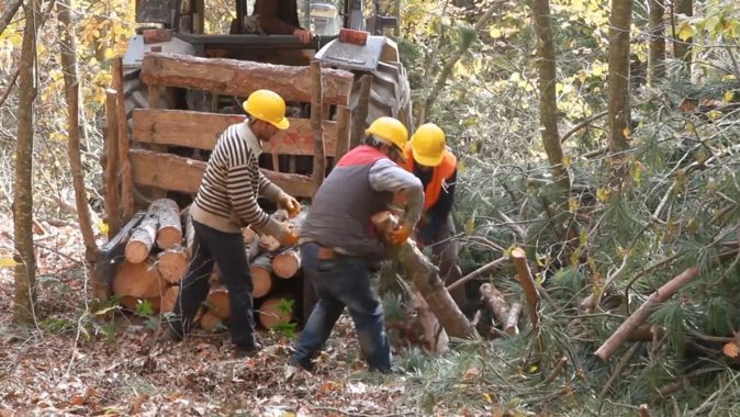 Orman Genel Müdürlüğü engelli ve eski hükümlü  68 işçi alacak