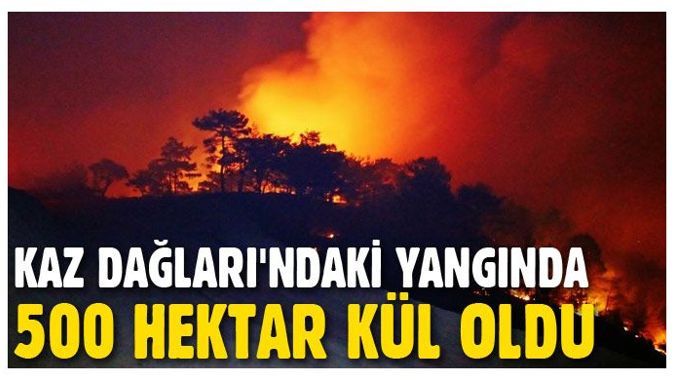 Kaz Dağları&#039;ndaki yangında 500 hektar kül oldu