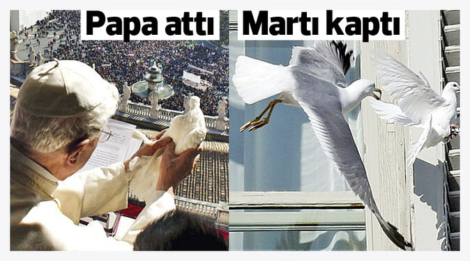 Papa&#039;nın barış kuşunu, martı kaptı