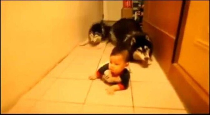 Bakın bu bebek ne yapıyor- Video
