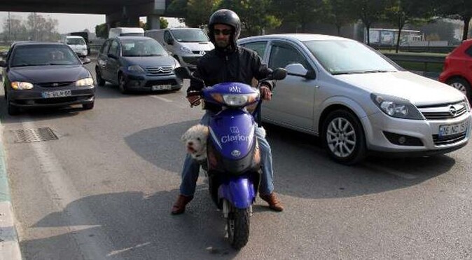 Köpeğin motosiklet keyfi hayran bıraktı