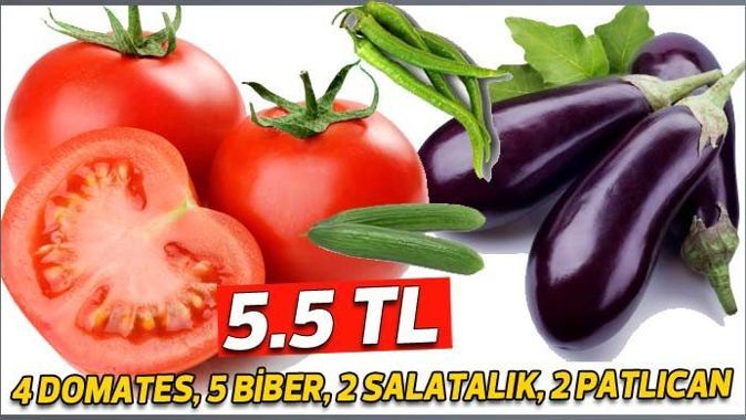 4 domates, 5 biber, 2 salatalık, 2 patlıcan 5,5 TL