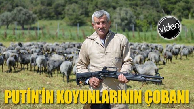 Putin&#039;in koyunlarına özel koruma