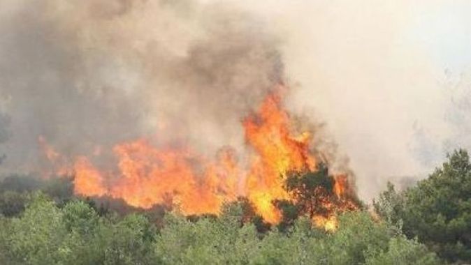 Yenice&#039;de orman yangını