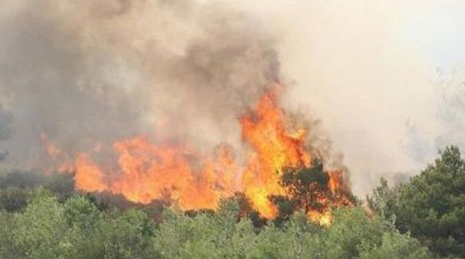 Çanakkale&#039;deki yangın Balıkesir&#039;e sıçradı