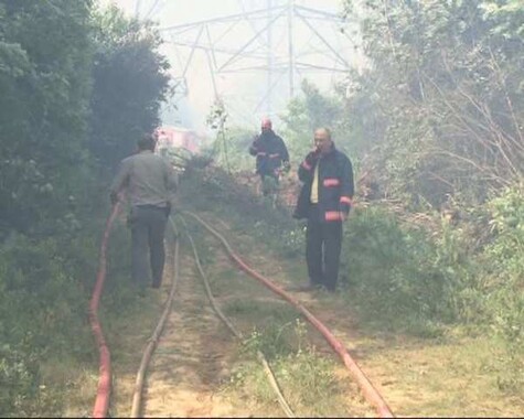 Sarıyer&#039;de orman yangını kontrol altına alındı