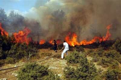 Eskişehir&#039;de 3 ayrı yerde orman yangını