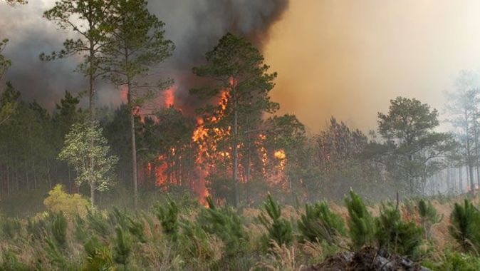 Meteoroloji&#039;den yüksek sıcaklık ve orman yangını uyarısı