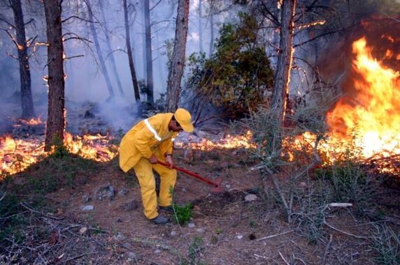 Sultanbeyli&#039;de orman yangını kontrol altında 