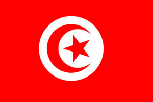 Tunus&#039;tan Femen üyelerine 4 ay hapis cezası
