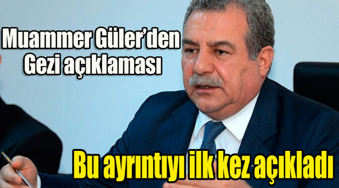 Muammer Güler&#039;den Gezi açıklaması
