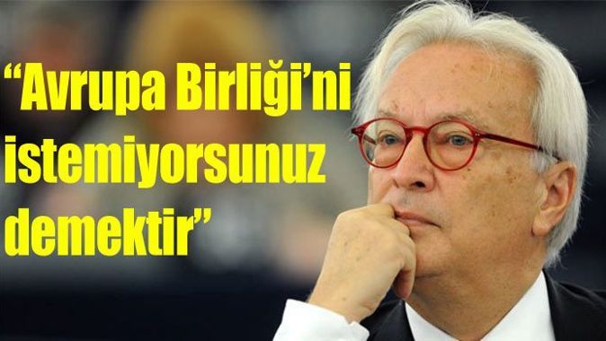 Swoboda&#039;dan Erdoğan&#039;a &#039;Avrupa Birliği&#039; tehdidi
