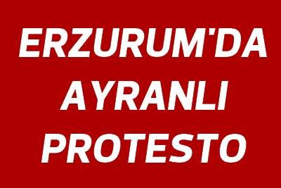 Erzurum&#039;da Gezi Parkı&#039;na ayranlı destek