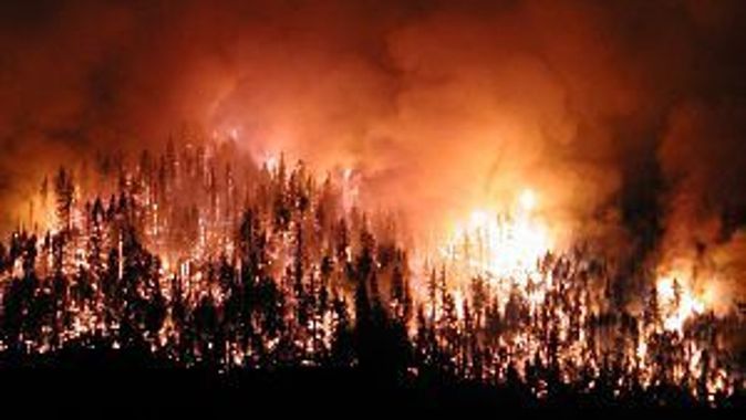 Çanakkale&#039;de orman yangını çıktı