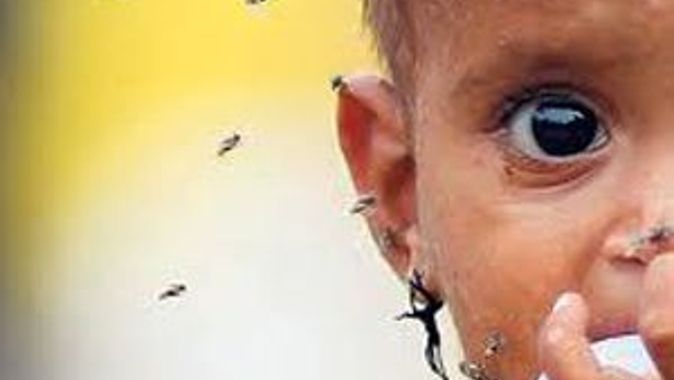 Sivrisinekler dehşet saçtı, 59 ölü