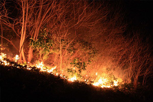 Meteorolojiden &#039;orman yangını&#039; uyarısı