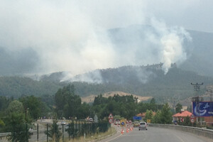 Karabük&#039;teki orman yangınında 10 hektarlık alan kül oldu