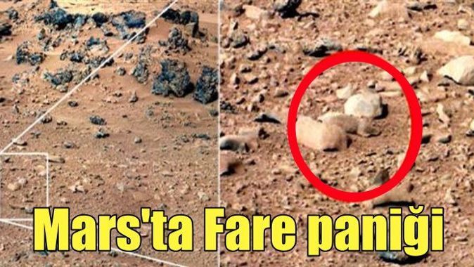 Mars&#039;ta &#039;fare&#039; bulundu iddiası ortalığı karıştırdı