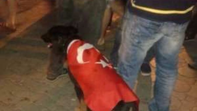 Köpeğin üzerine Türk bayrağı giydirmişler