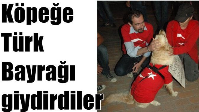 Köpeğine Türk Bayrağı giydirmiş 