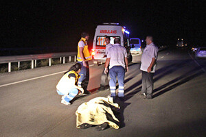 Sivas&#039;ta yolcu otobüsü yayaya çarptı, 2 ölü
