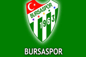 Bursaspor&#039;un rakibi Vojvodina-Honved