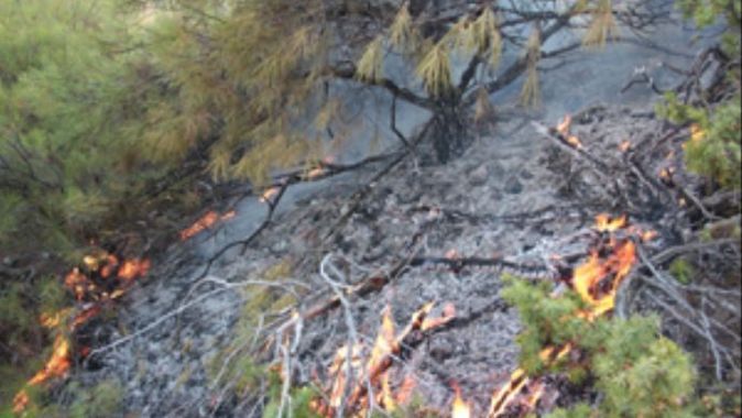Çorum&#039;daki yangın, 20 hektarlık orman kül oldu