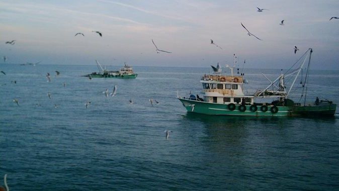Batı Karadeniz&#039;deki fıtına, balıkçıları üzdü