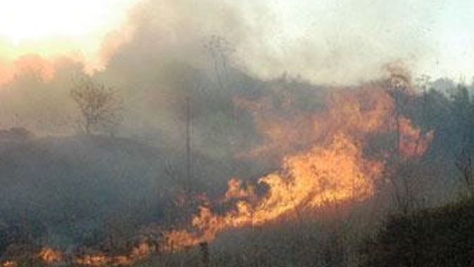 Muğla&#039;da orman yangını