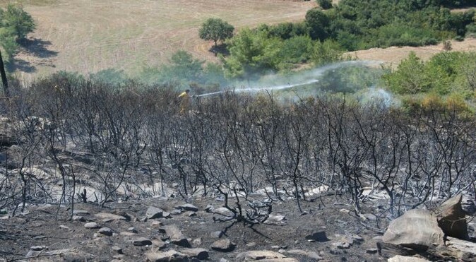 Osmaniye&#039;de orman yangını