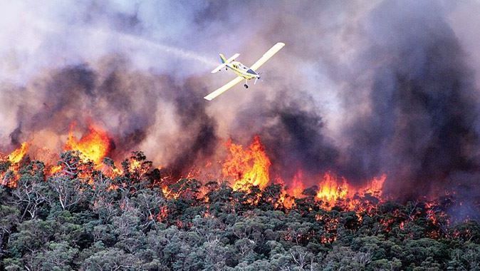 Avustralya cayır cayır yanıyor! Alevler söndürülemiyor