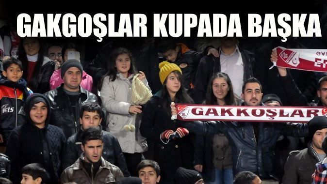 Elazığspor lig&#039;de ağlatıyor, kupada güldürüyor