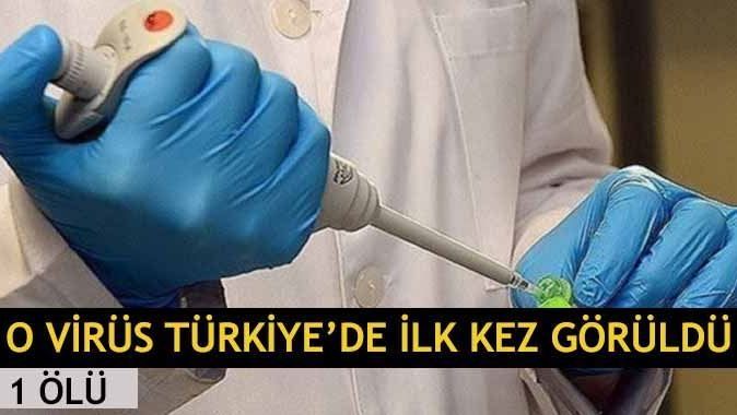 MERS virüsü Türkiye&#039;de ilk kez görüldü